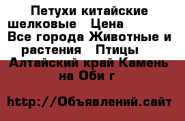 Петухи китайские шелковые › Цена ­ 1 000 - Все города Животные и растения » Птицы   . Алтайский край,Камень-на-Оби г.